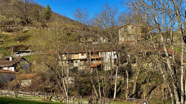 Belerda