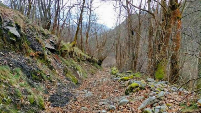 Ruta del Valle del Río Mediu (PR-AS 126)